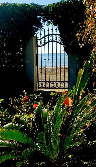 zobacz camping - zdjęcie 6