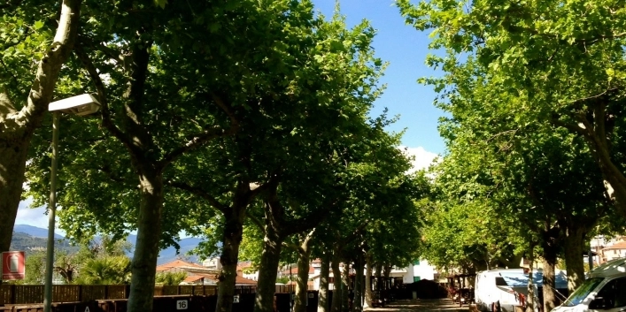 zobacz camping - zdjęcie 4