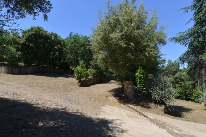 zobacz camping - zdjęcie 19