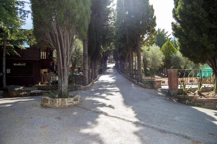 zobacz camping - zdjęcie 14