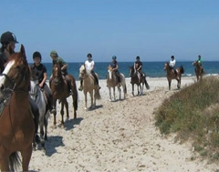 Campeggio Vallicella - zdjęcie 3