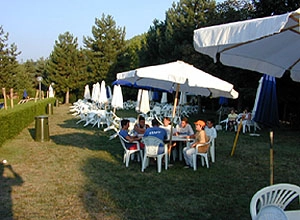 zobacz camping - zdjęcie 11
