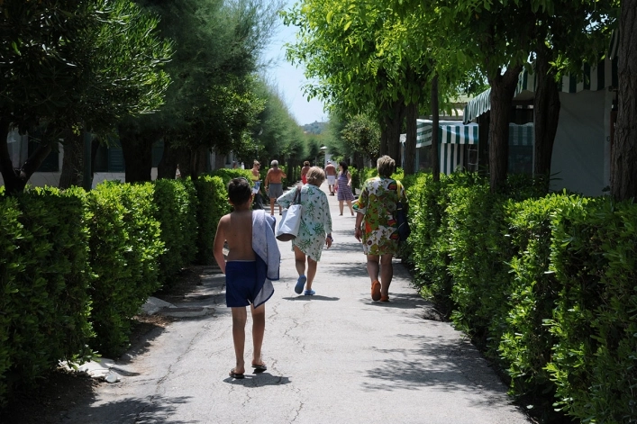 zobacz camping - zdjęcie 1