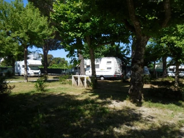 zobacz camping - zdjęcie 28