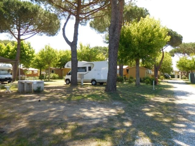 zobacz camping - zdjęcie 27