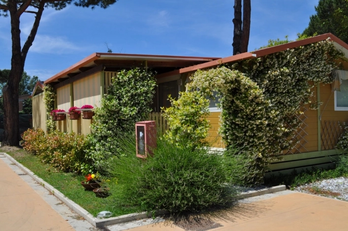 zobacz camping - zdjęcie 24