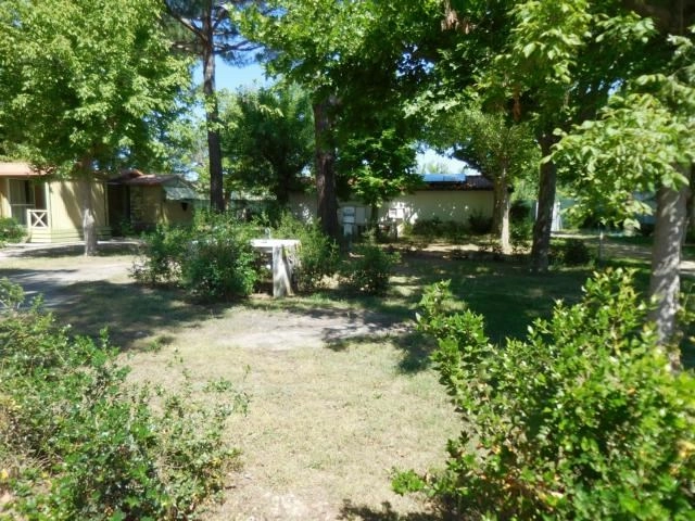 zobacz camping - zdjęcie 16