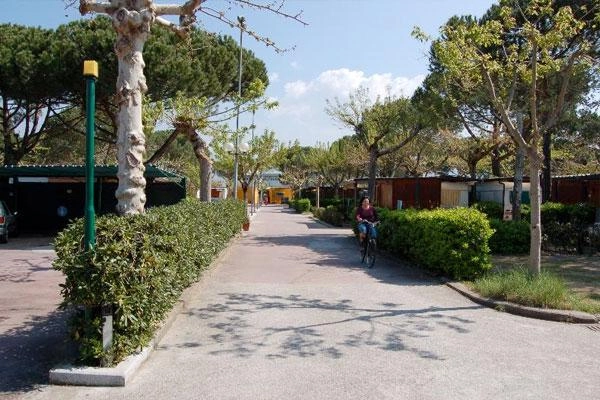 zobacz camping - zdjęcie 13