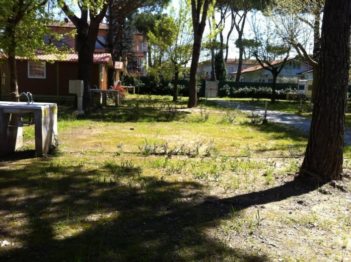 zobacz camping - zdjęcie 12