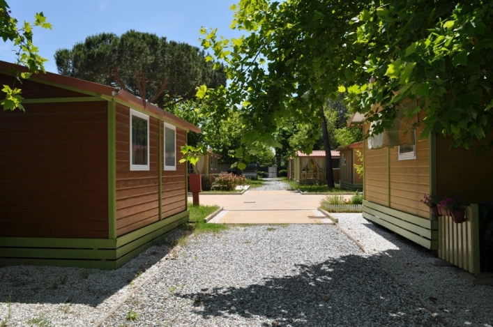 zobacz camping - zdjęcie 11