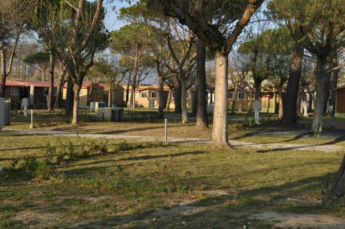 zobacz camping - zdjęcie 9