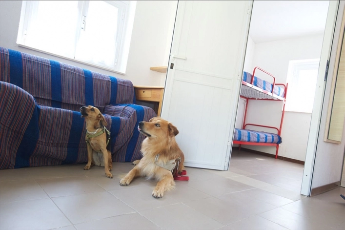 zobacz camping - zdjęcie 28