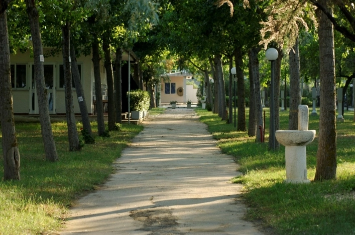 zobacz camping - zdjęcie 24