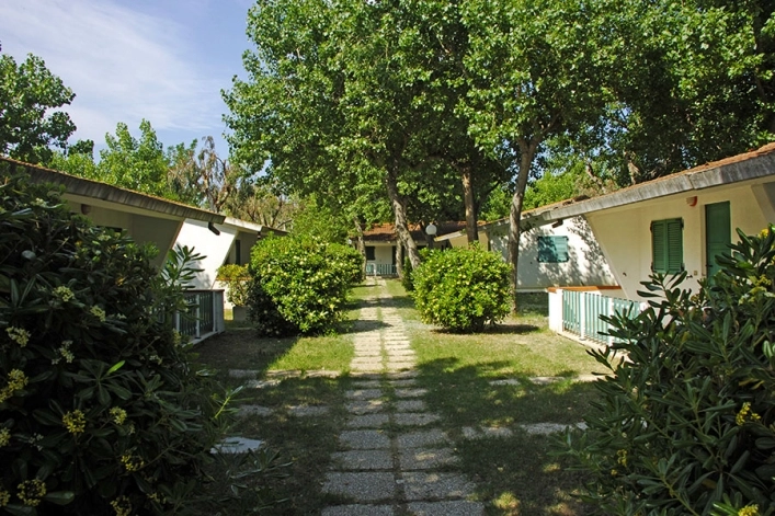 zobacz camping - zdjęcie 22