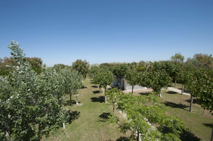 zobacz camping - zdjęcie 17