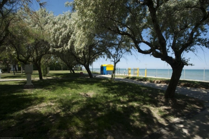 zobacz camping - zdjęcie 16