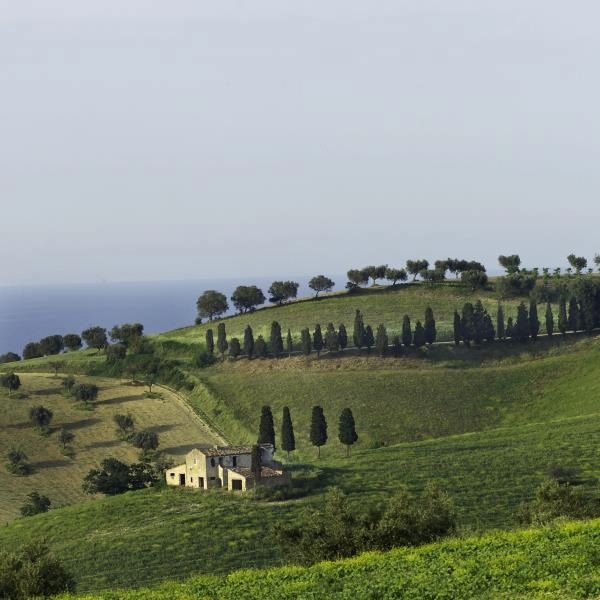 zobacz camping - zdjęcie 10