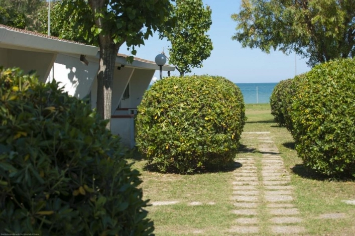 zobacz camping - zdjęcie 4