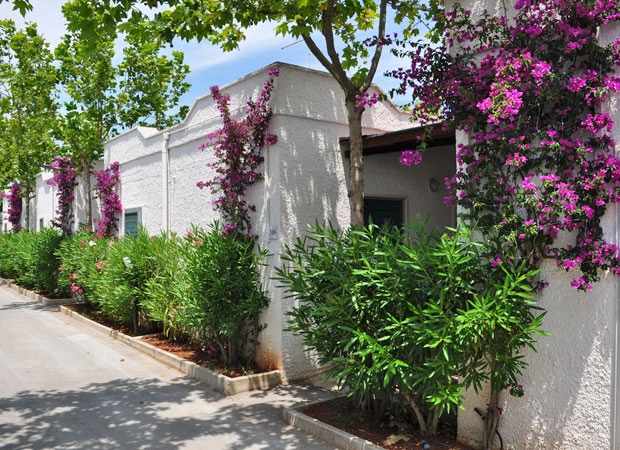 zobacz camping - zdjęcie 18