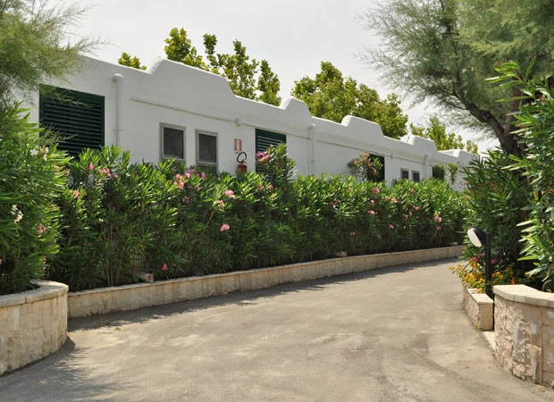 zobacz camping - zdjęcie 11