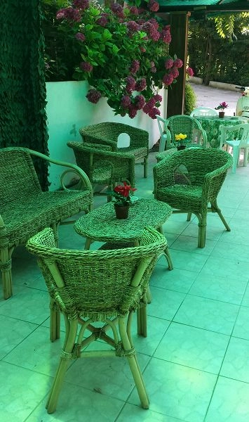 zobacz camping - zdjęcie 24