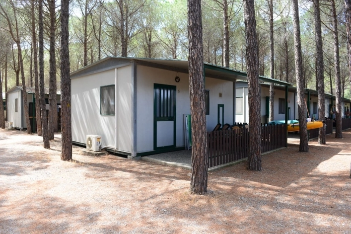 zobacz camping - zdjęcie 14