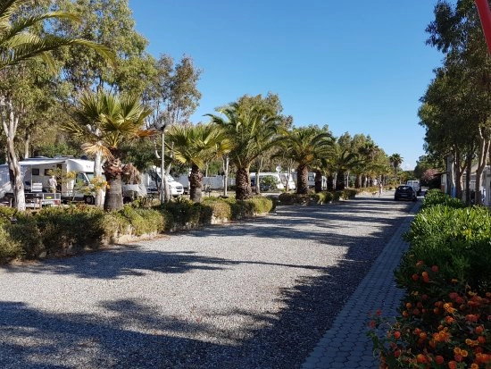 zobacz camping - zdjęcie 13