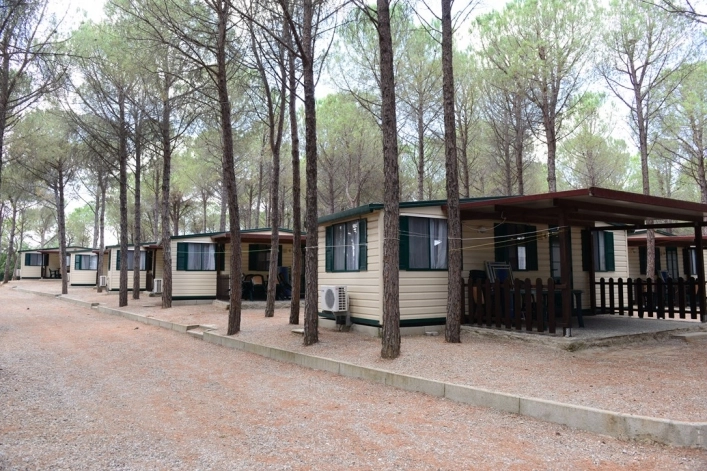 zobacz camping - zdjęcie 12