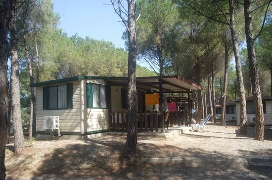 zobacz camping - zdjęcie 7