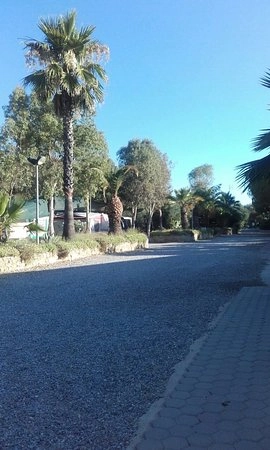 zobacz camping - zdjęcie 4