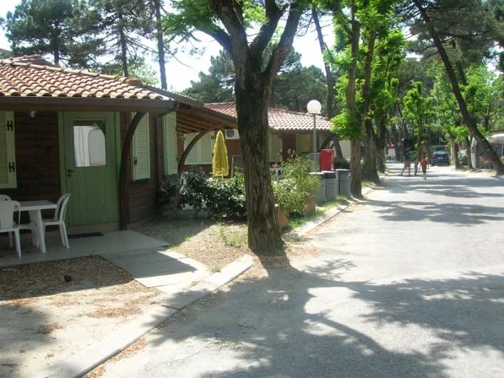 zobacz camping - zdjęcie 8