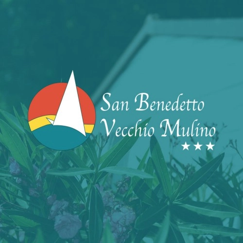 zobacz camping - zdjęcie 18