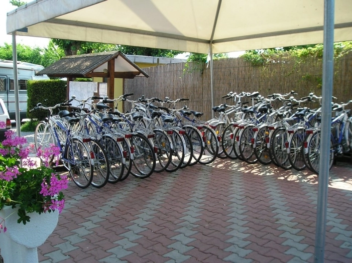 zobacz camping - zdjęcie 15