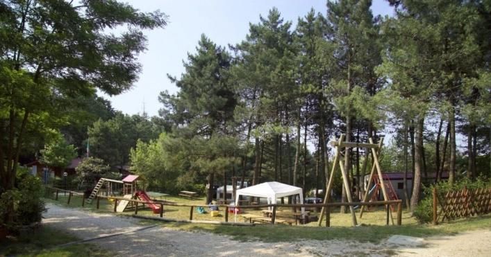 zobacz camping - zdjęcie 26