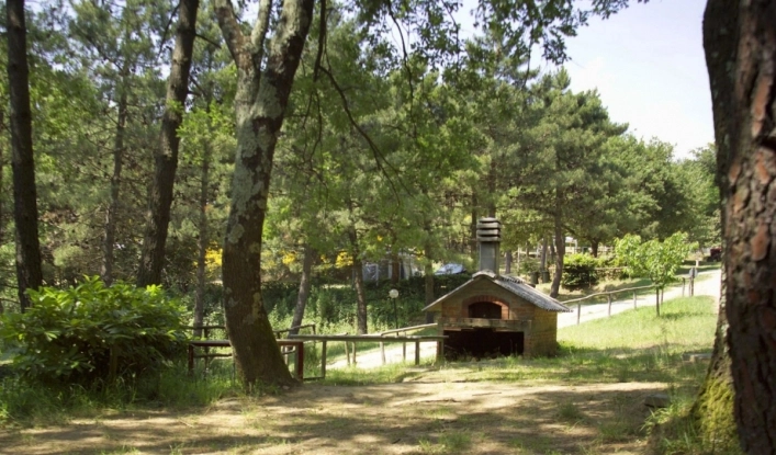 zobacz camping - zdjęcie 23