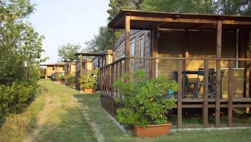 zobacz camping - zdjęcie 19