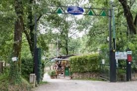 zobacz camping - zdjęcie 16