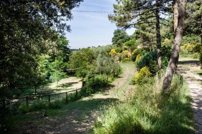 zobacz camping - zdjęcie 12