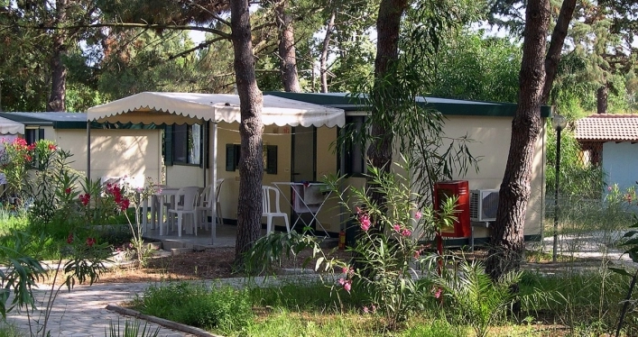 zobacz camping - zdjęcie 19
