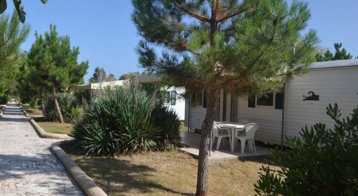 Campeggio Villaggio Sos Flores - zdjęcie 4