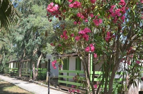 Campeggio Villaggio Sos Flores - zdjęcie 3