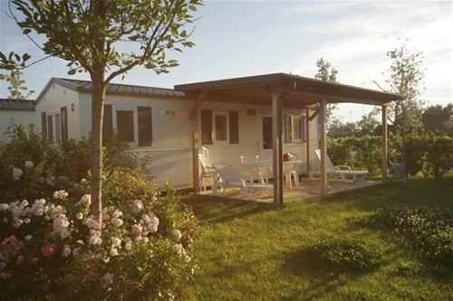 zobacz camping - zdjęcie 49