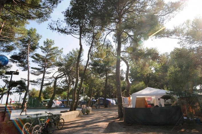 zobacz camping - zdjęcie 41