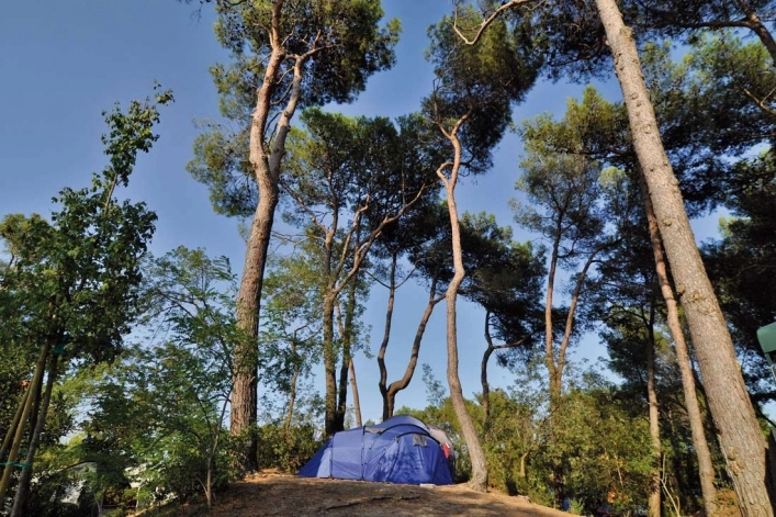 zobacz camping - zdjęcie 34