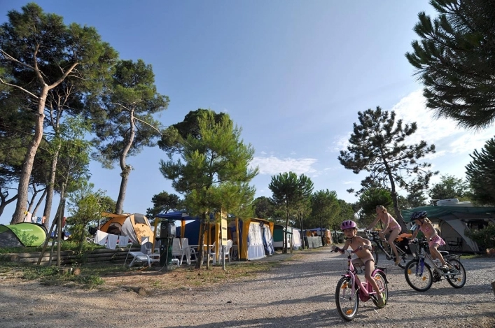 zobacz camping - zdjęcie 25