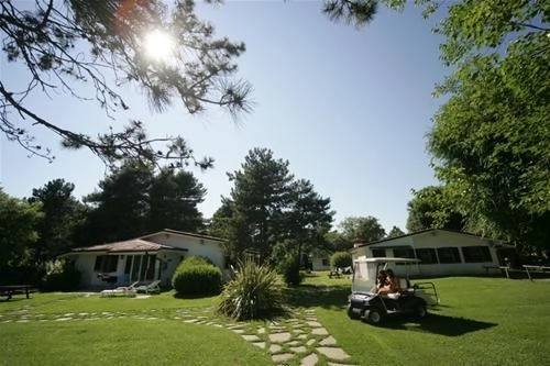 zobacz camping - zdjęcie 5