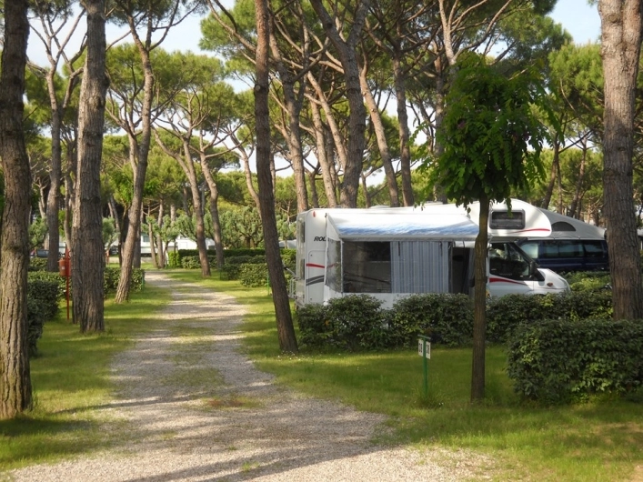 zobacz camping - zdjęcie 17