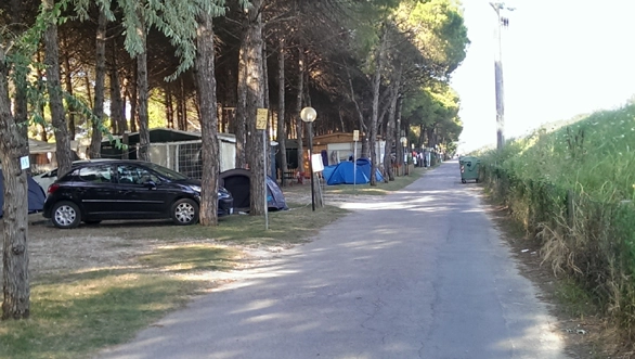 zobacz camping - zdjęcie 3