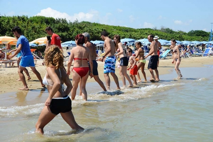 zobacz camping - zdjęcie 15