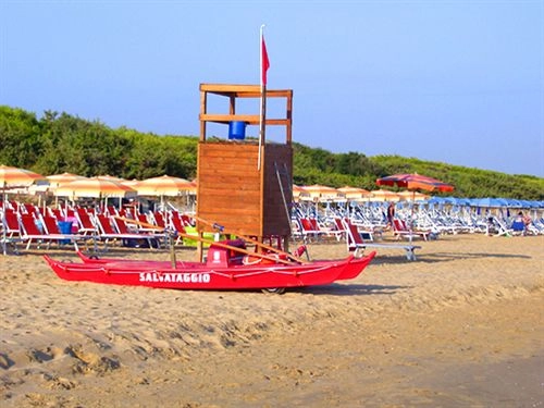 zobacz camping - zdjęcie 8